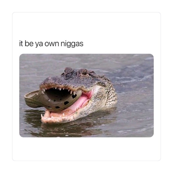 Meet your Posher, Garrett - Picture 1 of 1